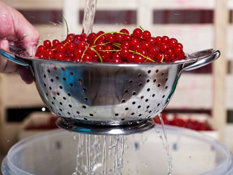 Best Colander