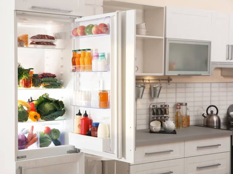 Best Compact Refrigerators