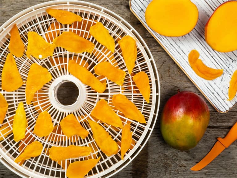 Best Food Dehydrator