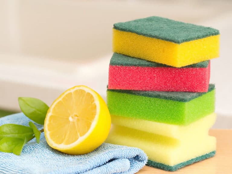 Best Kitchen Sponge