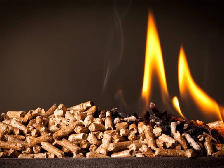 Best Wood Pellets for Smoking