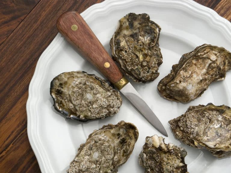 Best Oyster Knives