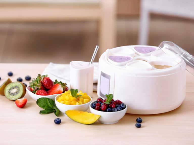 Best Yogurt Makers