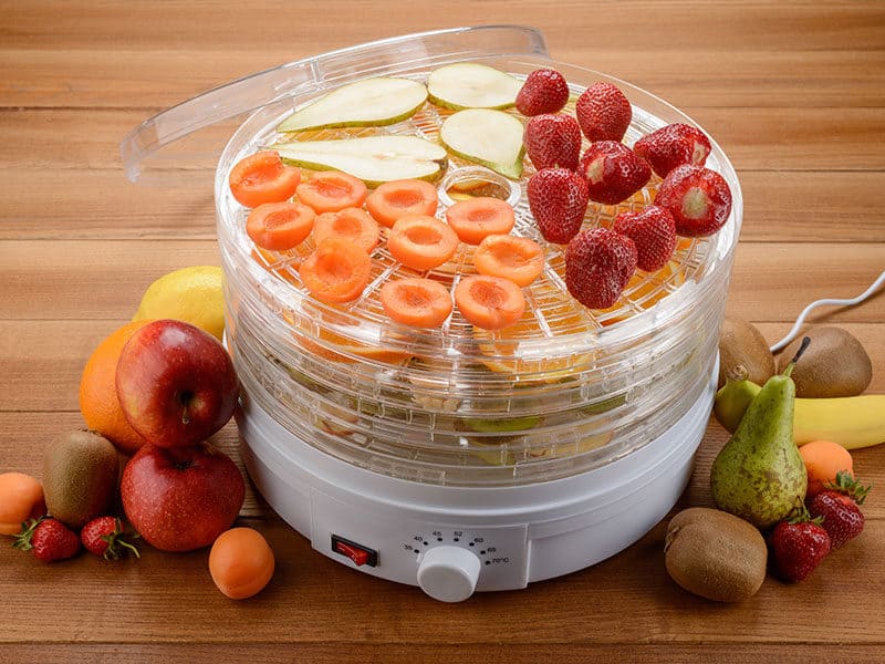 Food Dehydrator Fruits