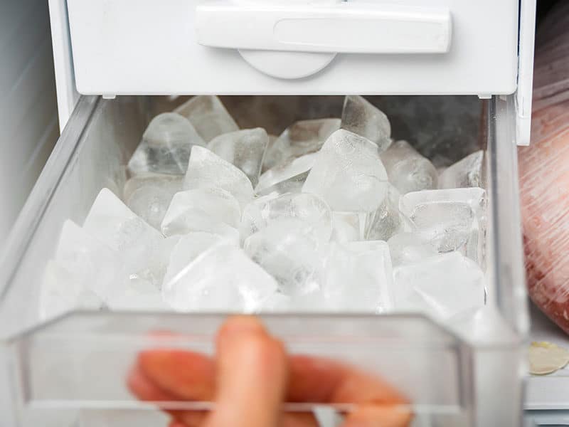 Woman Opens Ice Maker