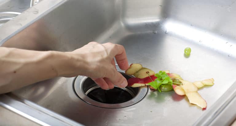 Continuous Feed Garbage Disposal