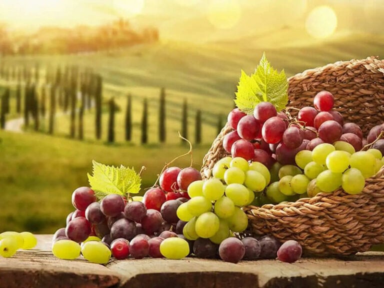 Green Grapes Vs Red Grapes