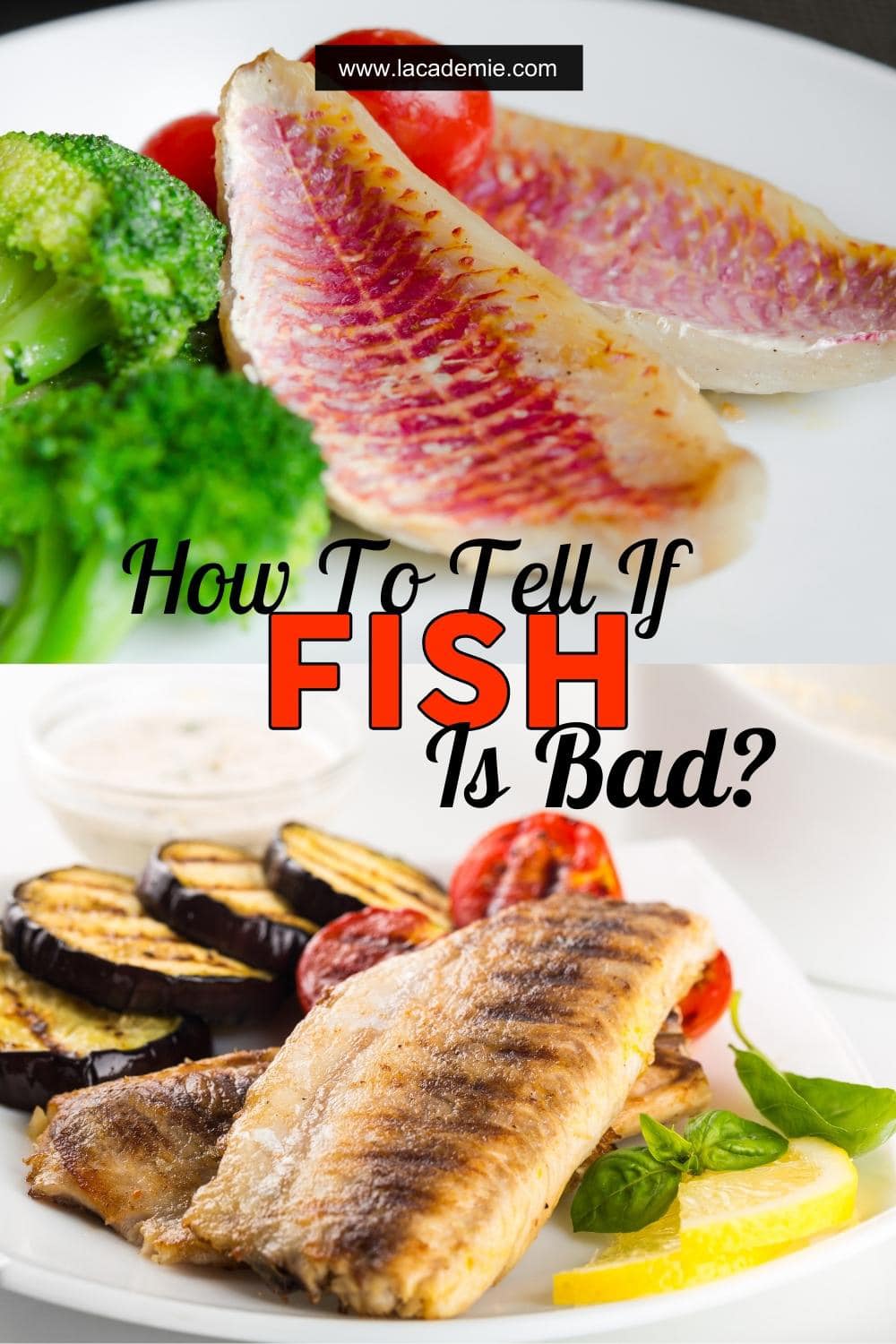 How to Tell if Fish is Bad Signs and Tips for Freshness 2024