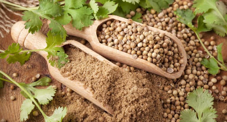 Coriander Seeds Fresh