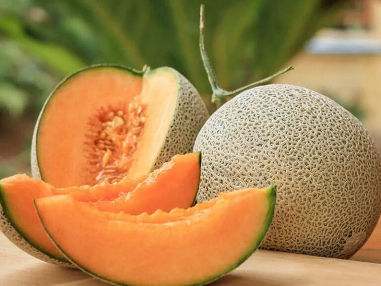 How To Tell If A Cantaloupe Is Ripe