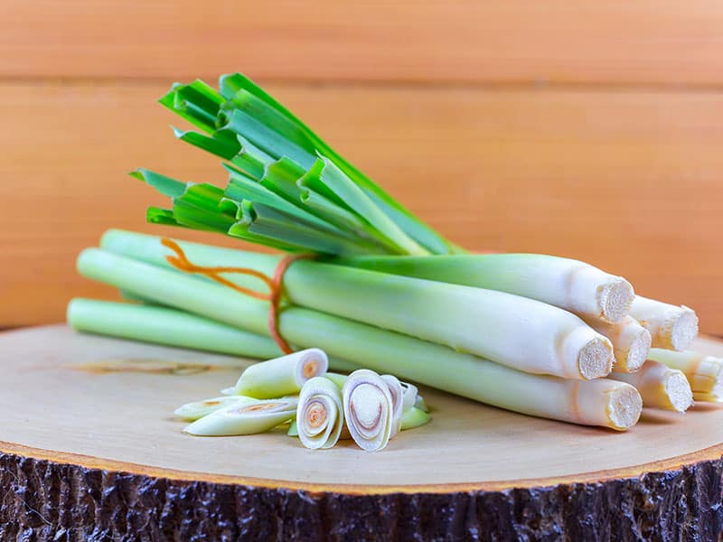 Top 9 Lemongrass Substitutes - The Ultimate Guide 2023