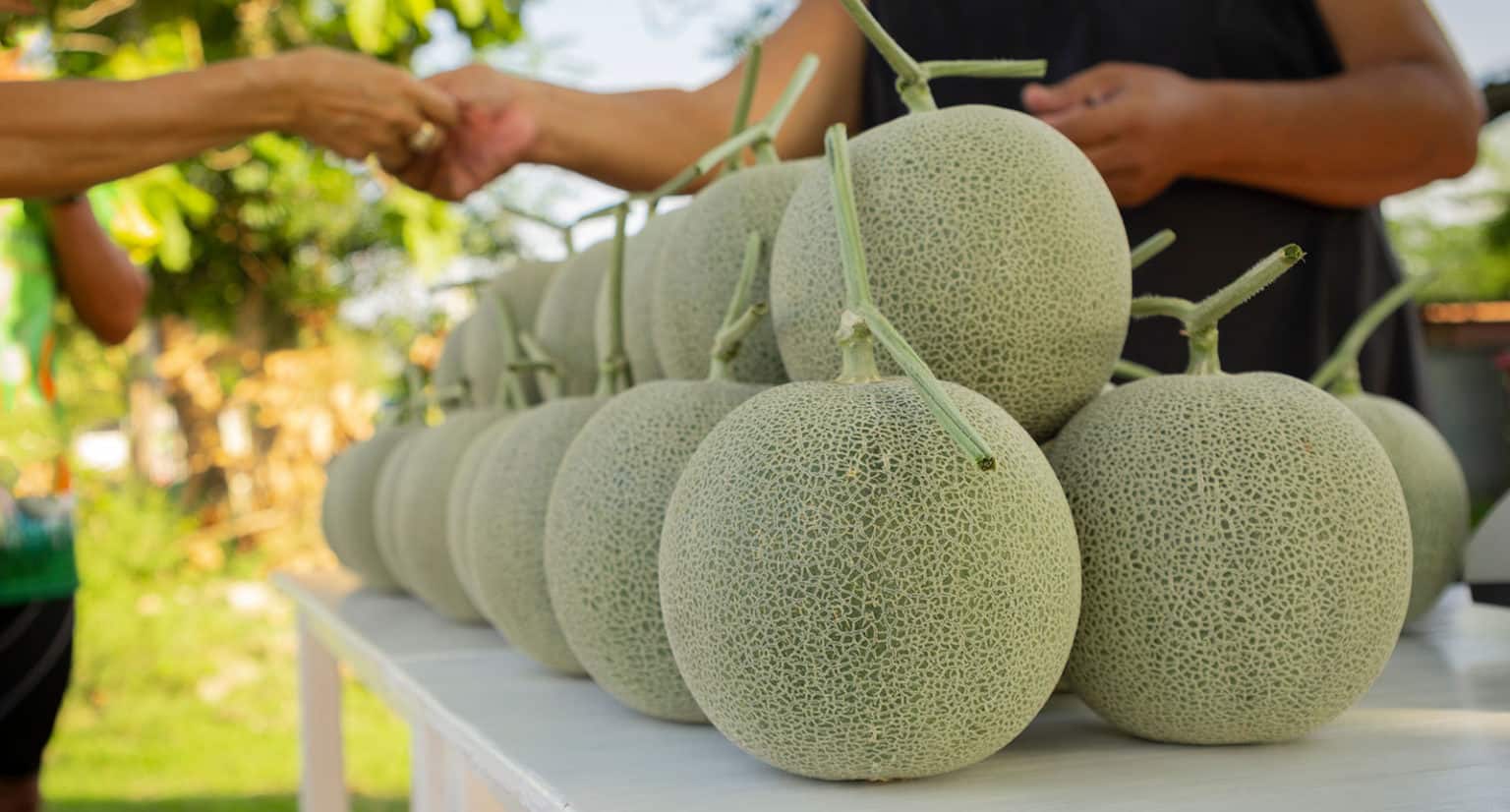 how-to-tell-if-a-cantaloupe-is-ripe-tips-on-picking-the-perfect-sweet