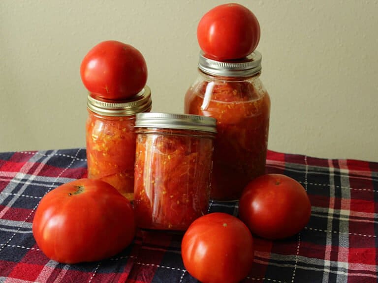 25 Tomato Paste Substitutes Should Not Be Missed 2023