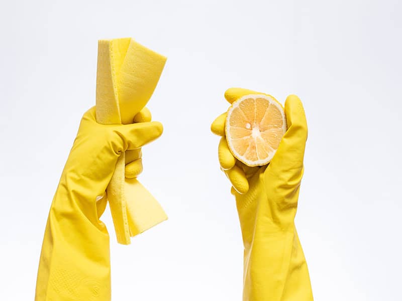 Gloves Cleaning Hold