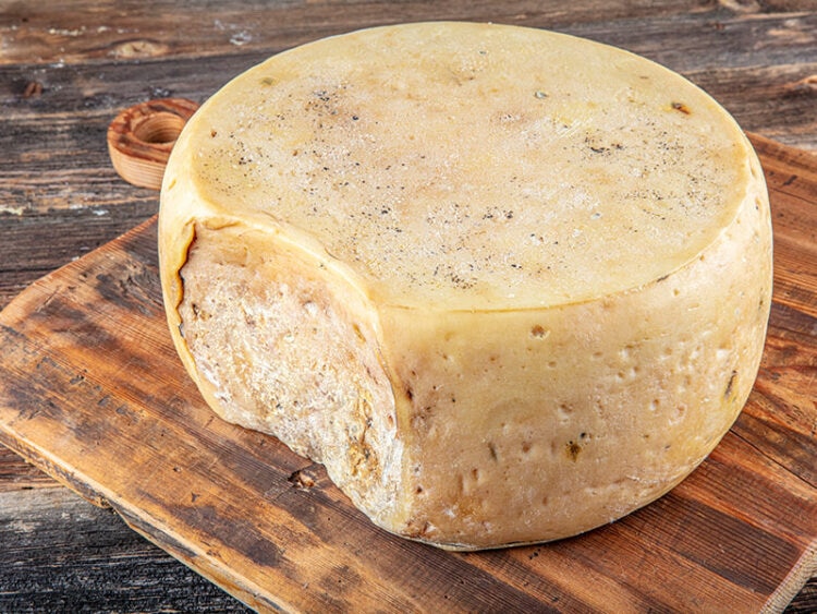 Top 10 Fontina Cheese Alternatives: The Ultimate Guide 2024