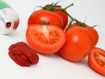 1 tablespoon tomato paste substitute