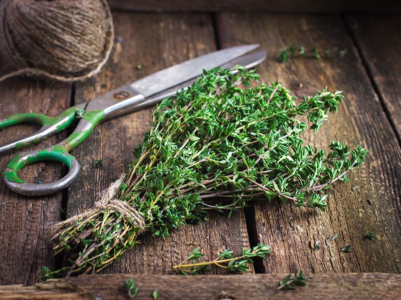 10 Marjoram Substitutes to Enhance Your Dishes in 2024