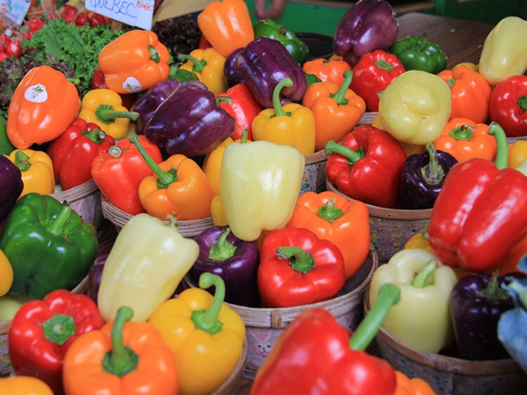 How To Store Bell Peppers To Preserve Their Freshness 2024   Bell Peppers 750x563 