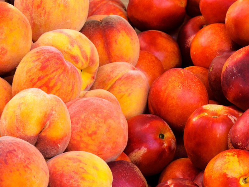 Bunch Fresh Peaches Nectarines