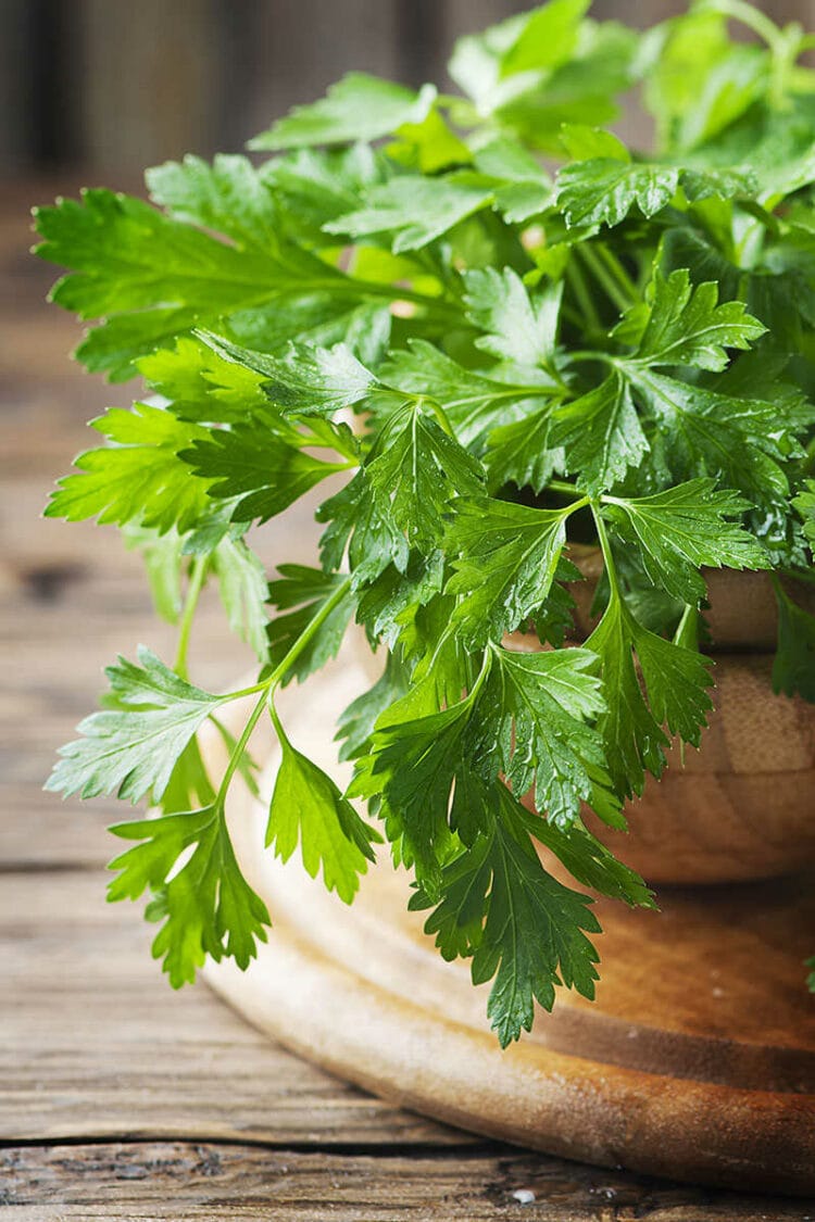 How To Store Parsley Must Know Methods 2024 3407