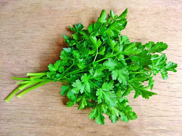 How To Store Parsley