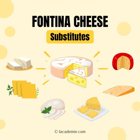 Top 10 Fontina Cheese Alternatives: The Ultimate Guide 2024