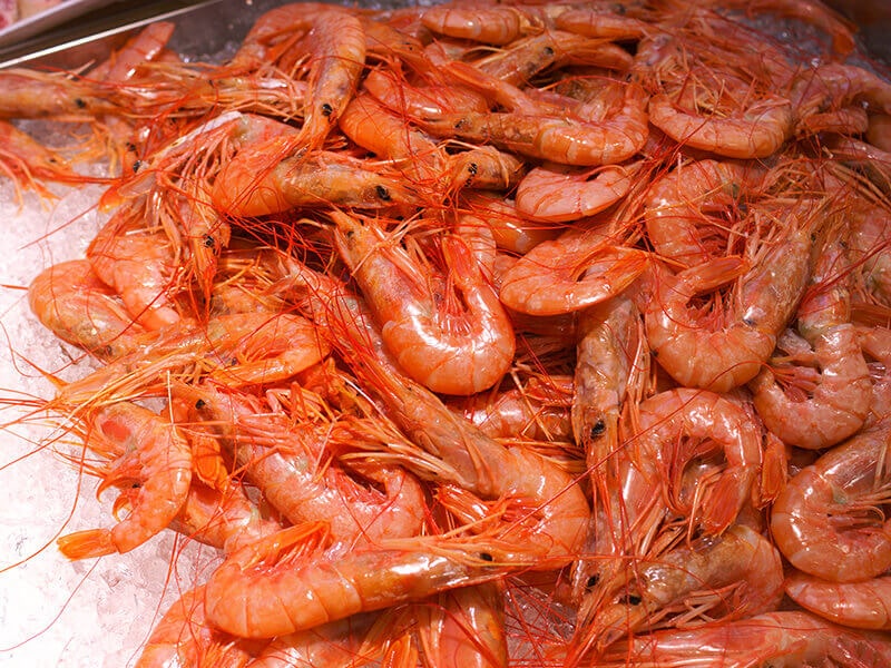 Fresh Shrimp Chilled in Ice