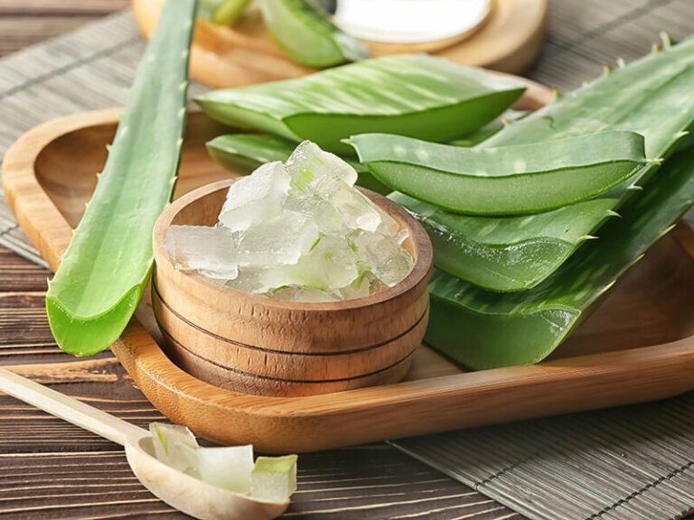 How To Store Aloe Vera