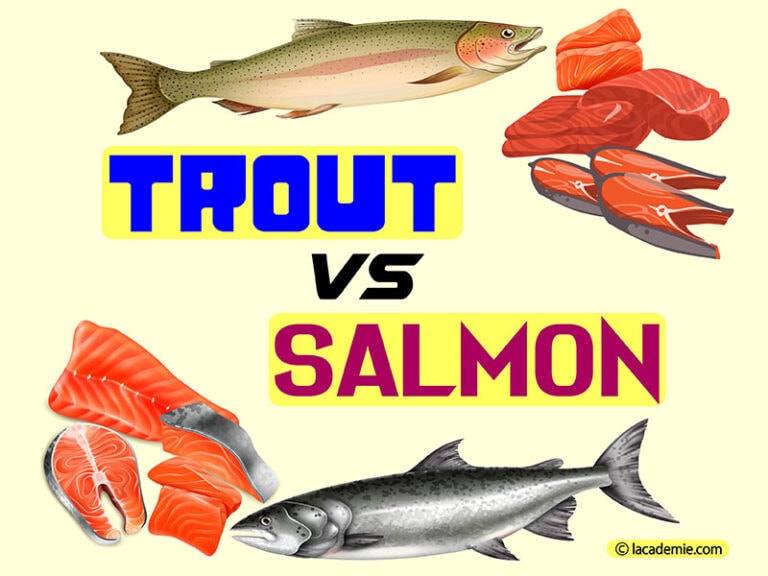 Trout Vs. Salmon: How Are They Different? 2024