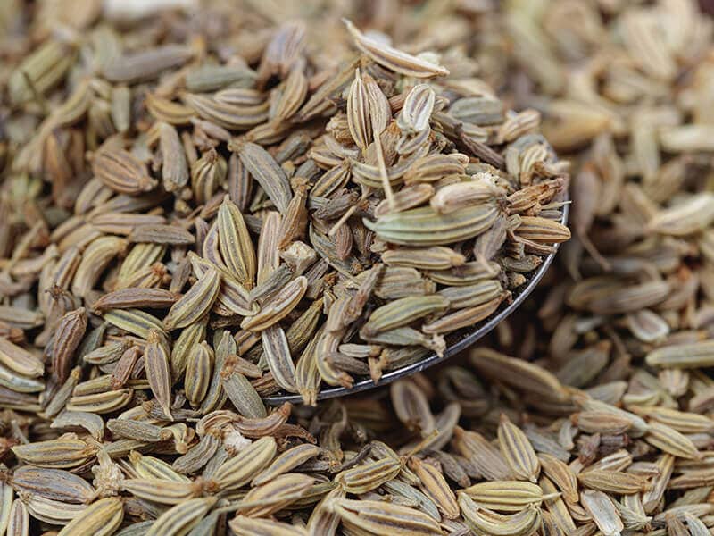 Caraway Seeds and Salt