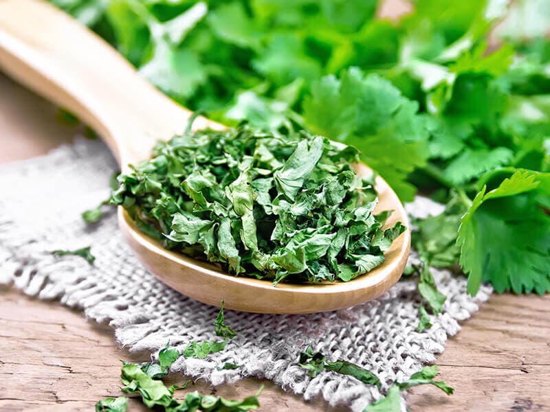 Cilantro Leaves and Salt