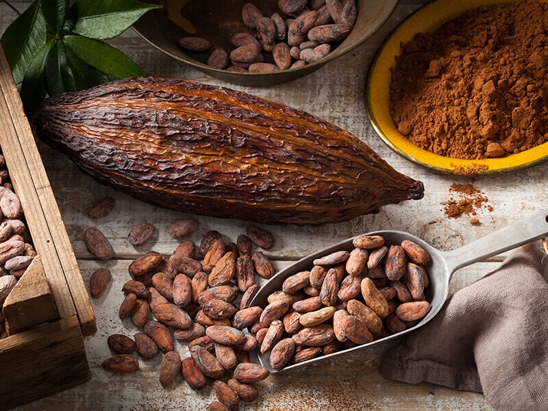 Dried and Roasted Cocoa Beans