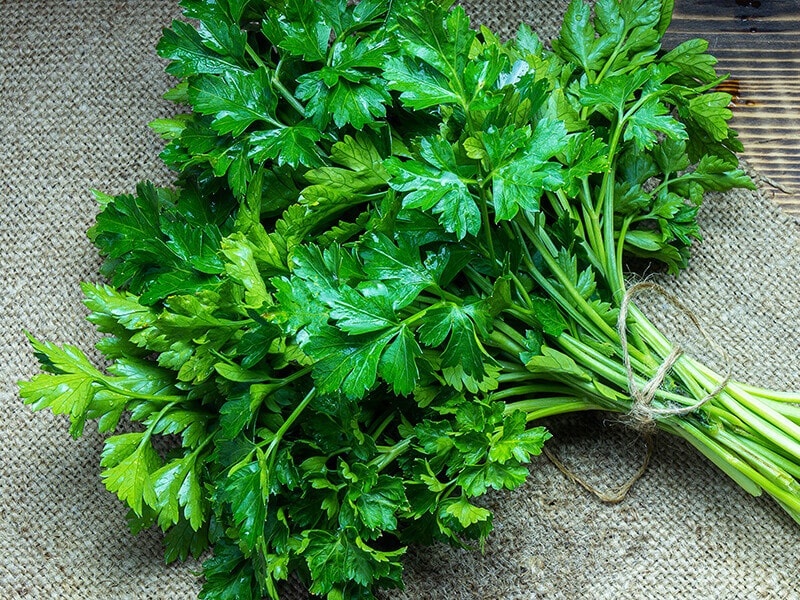 Parsley Leaves and Salt