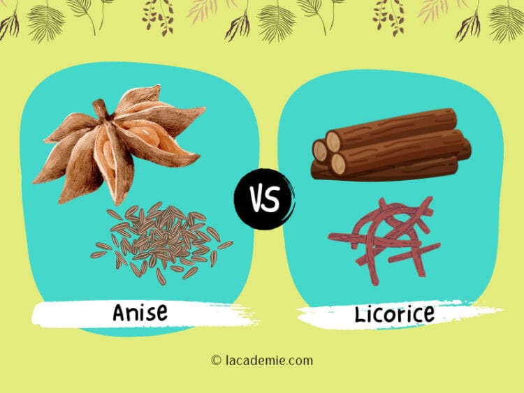 Anise Vs. Licorice: Detailed Comparison 2024