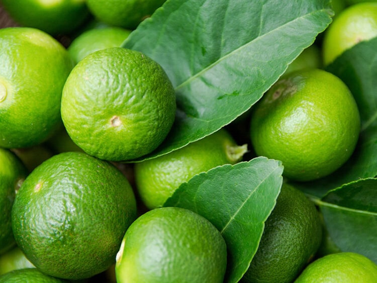 Key Lime Juice vs. Lime Juice: The Ultimate Comparison 2024