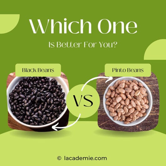 Black Beans vs. Pinto Beans Which One Is Better for You? 2024