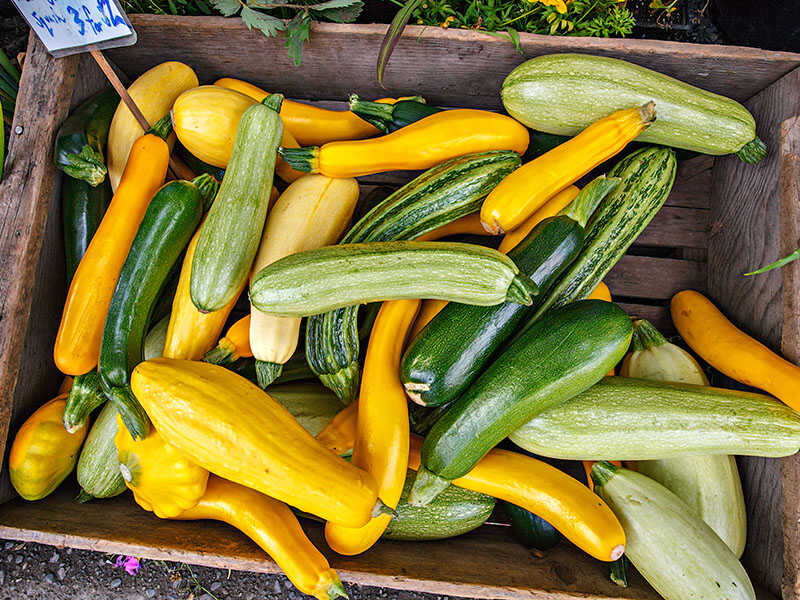 Box Organic Squash