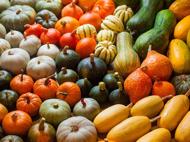 Different Varieties Squashes