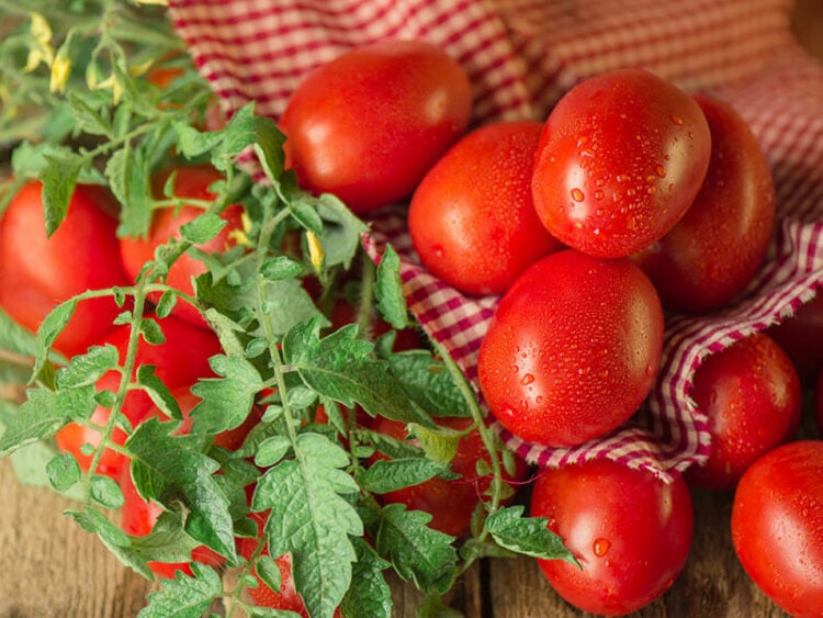 How Long Do Canned Tomatoes Last? Quick Answer 2023