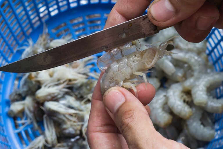 Shrimp That Being Sheathed