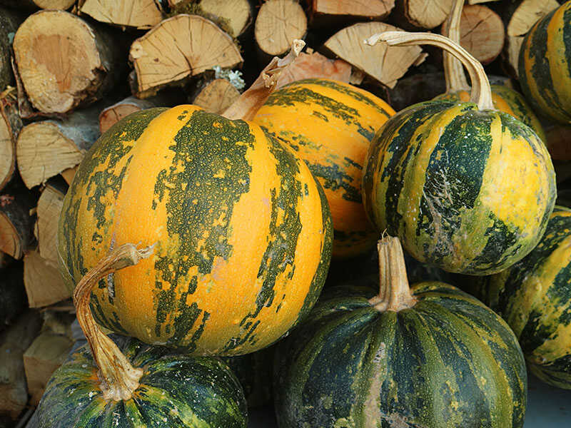 Yellow Green Pumpkins