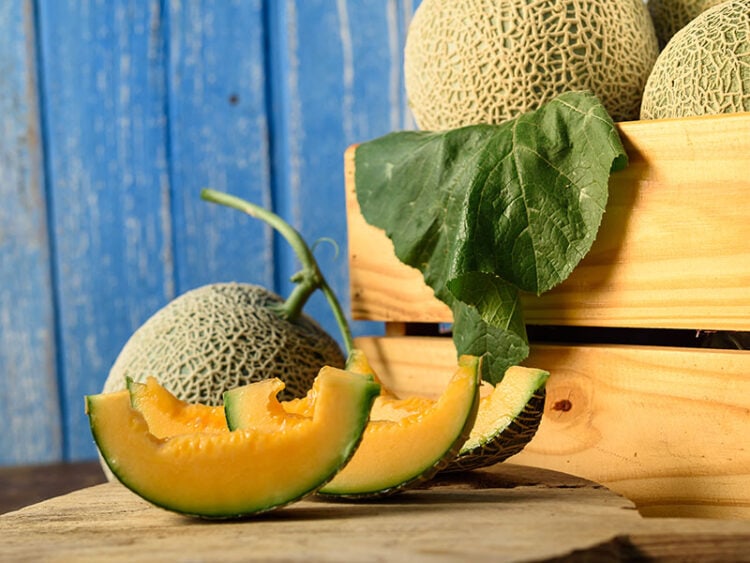 When Is Cantaloupe Season? Perfect Time To Buy Melon 2023