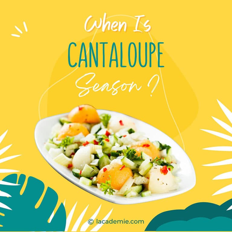 Cantaloupe Season 768x768 