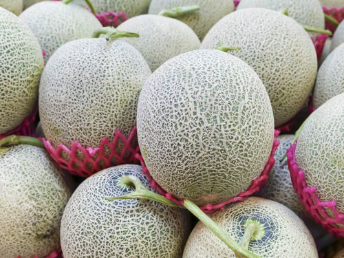 What Color Is Cantaloupe? Learn How to Pick the Perfect Melon 2024