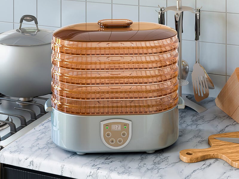 Electric Food Dehydrator