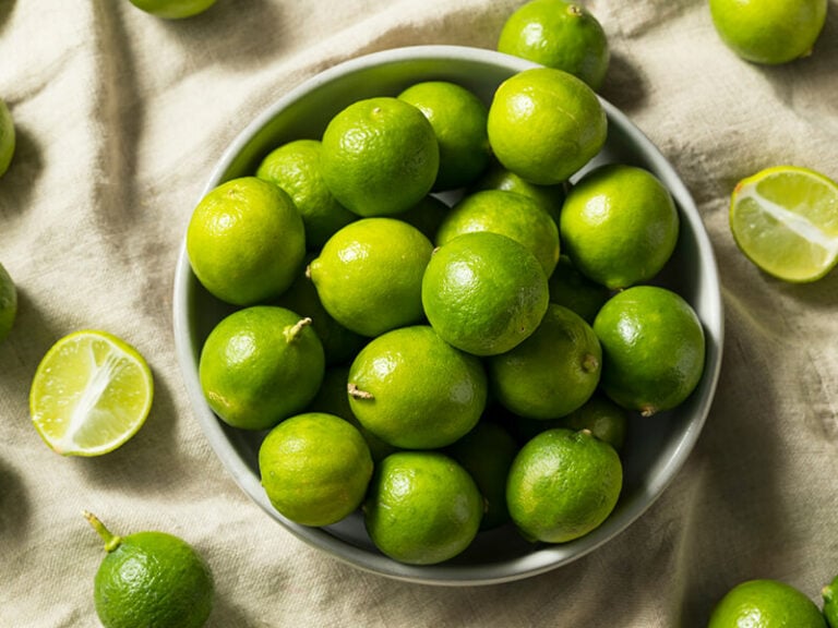 22 Types of Limes to Discover in 2024