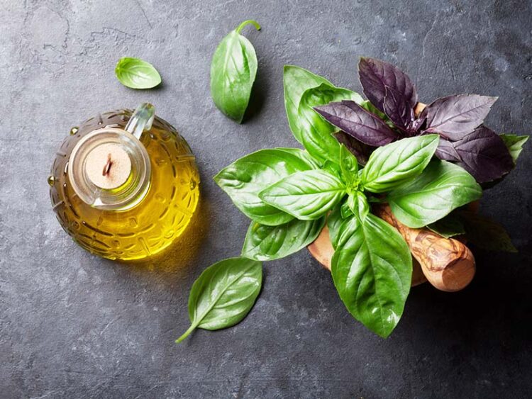 What To Do With Basil Flowers - 11+ Amazing Uses 2023
