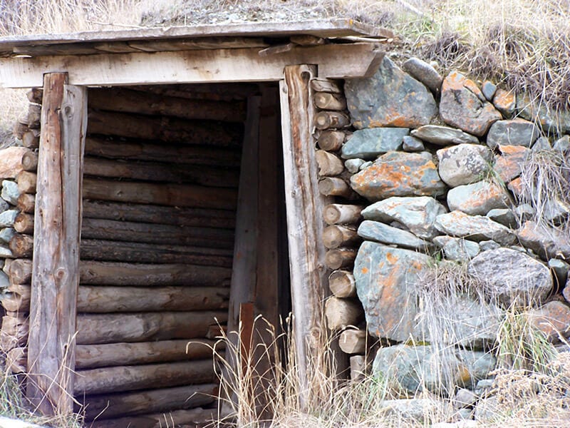 Root Cellar