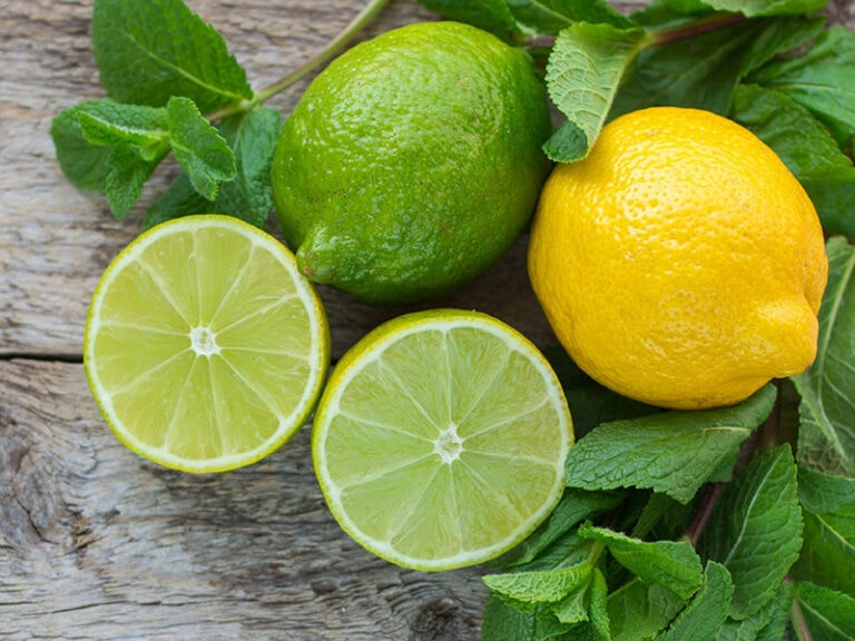 Types Of Limes