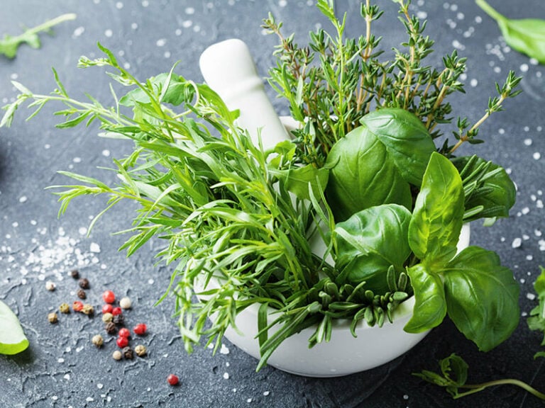 Types Of Tarragon